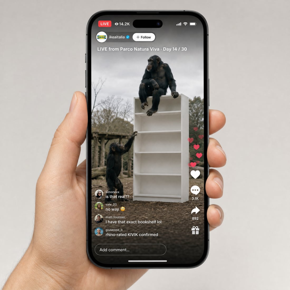 The chimpanzee enclosure streaming live on TikTok