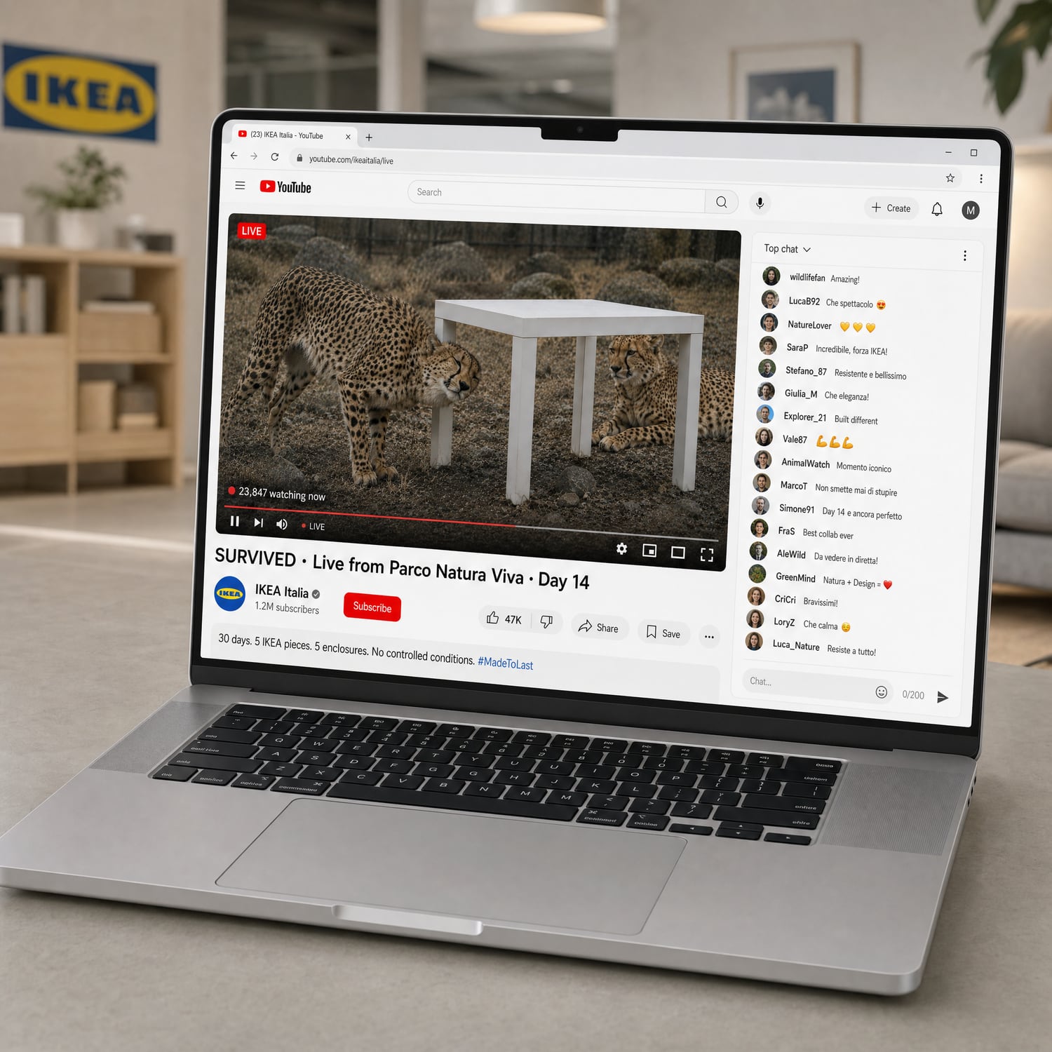 The test streaming live on YouTube